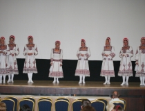 2010_291